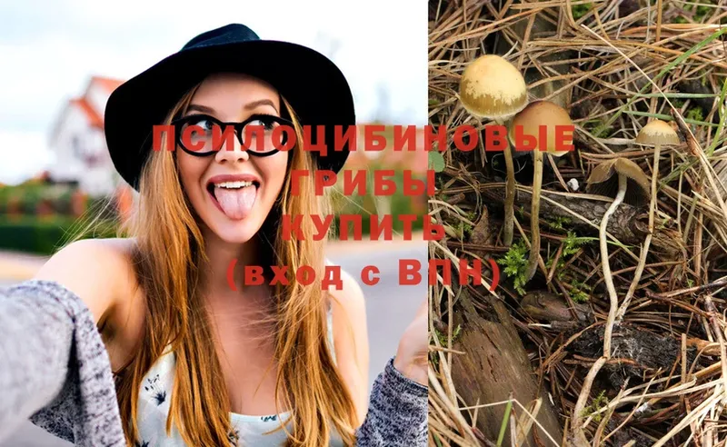 Псилоцибиновые грибы Psilocybine cubensis  хочу   Куса 